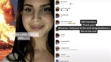 What Is The Hamster Cult On Tiktok Viral Trend Challenges Lana Cult