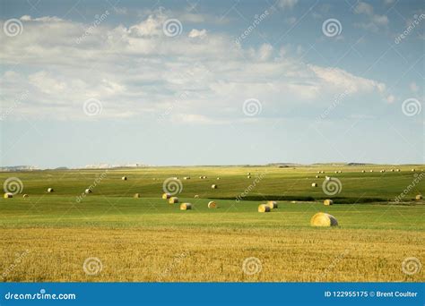 Green Countryside In South Dakota Stock Image Image Of Harvest