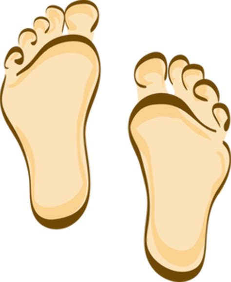 Download High Quality Feet Clipart Free Transparent Png Images Art