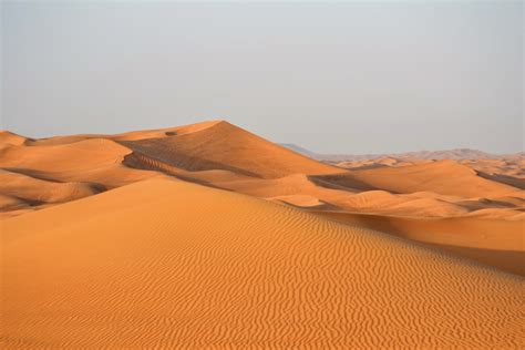Free Images Landscape Desert Dune Formation Dry Dubai Grassland