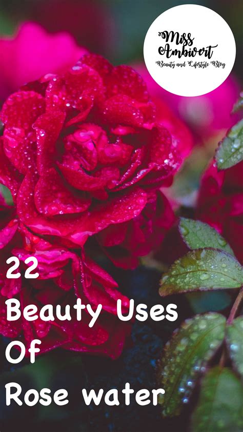 22 Amazing Beauty Benefits Of Rose Water You Never Knew Rose Water