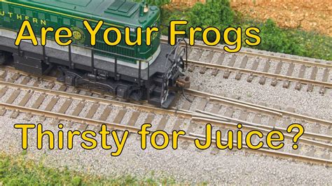 Are Your Frogs Thirsty For Juice Try A Frog Juicer 74 Youtube