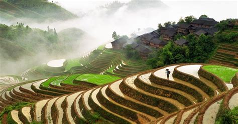 Rice Terrace Fields Of Longshengchina Hd Background