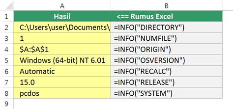 Cara Menggunakan Fungsi INFO Di Microsoft Excel Rumus Excel