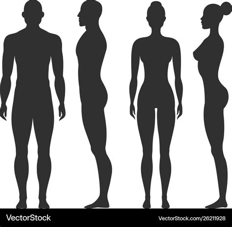 man woman body outline vector male female body outline stock illustrations 7 827 male female