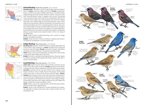Which Field Guide Field Guide Bird Guides Guide