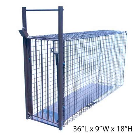 Bobcat Cage Trap Wildlife Control Supplies Product Code Nb Bobcat