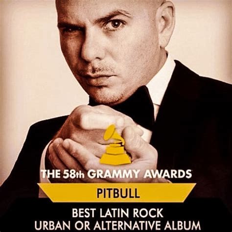 Pitbull Wins Grammy For Album Shot On Sony A7r