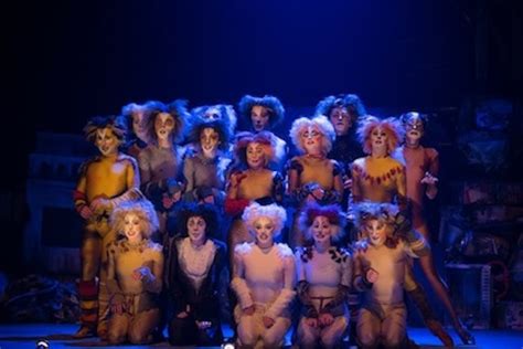 The recording won best cast show album at the 26th annual grammy awards. Behind the Scenes at Andrew Lloyd Webber's "Cats" Musical ...