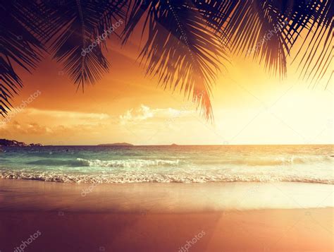Sunset On The Beach Of Caribbean Sea Stock Photo By ©iakov 40437397