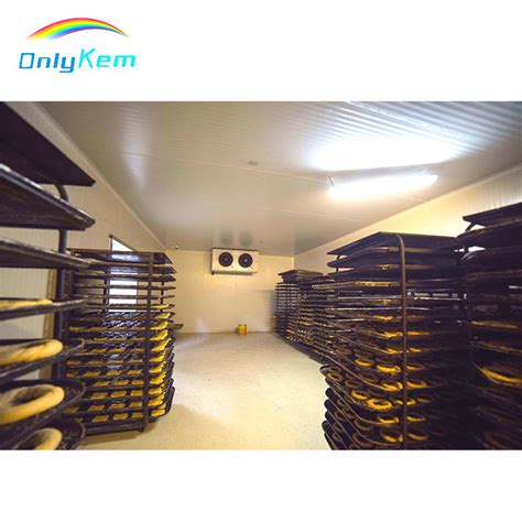 Slaughterhouse Cold Storage Butchery Cold Room China Cold Storage