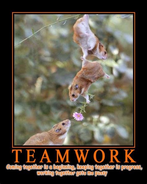 And that's why we have here compiled some of the funniest animal memes over the web just for you. Funny Animal Teamwork Quotes. QuotesGram