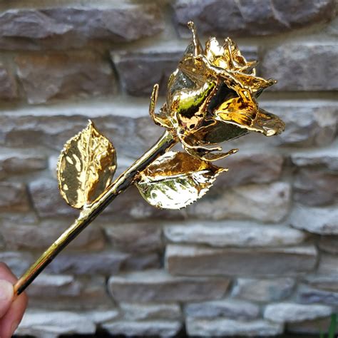 Real Forever Rose Fully Dipped In 24k Gold Includes T Etsy