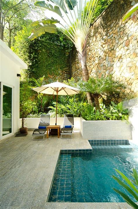 18 Gorgeous Plunge Pools For Tiny Backyard Homemydesign