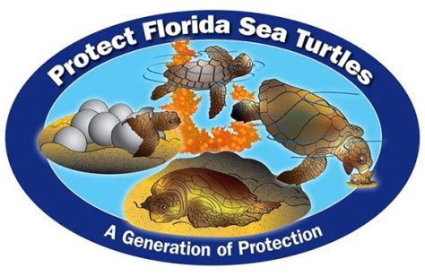 Stick With Manatees And Sea Turtles By Collecting This Years Fwc
