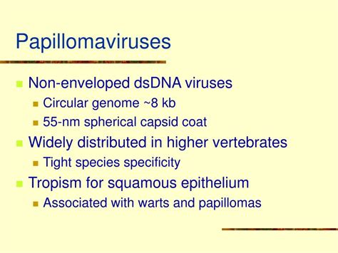 Ppt Human Papillomaviruses Natural History And Virology Powerpoint Presentation Id