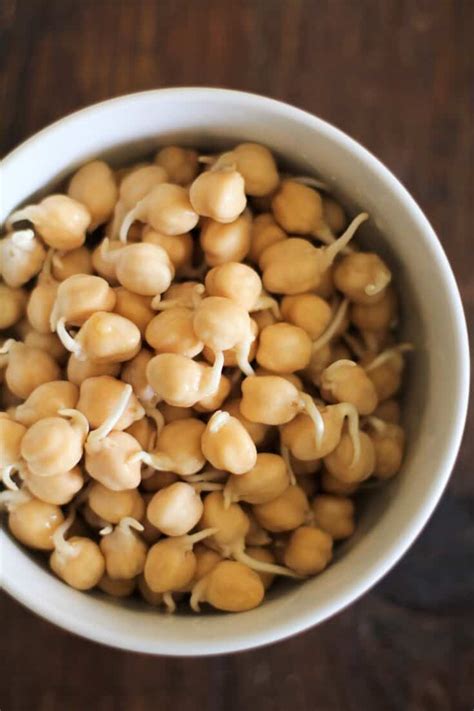 how to sprout chickpeas