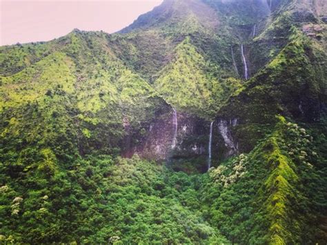 Mt Waialeale Kauai Aggiornato 2020 Tutto Quello Che Cè Da Sapere
