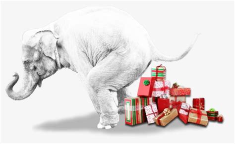 The events typically have a steal mechanism, where one participant can snag a gift from another. 5 White Elephant Christmas Present Ideas for Singles ...