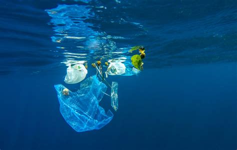 Marine Pollution Of Plastic Evs