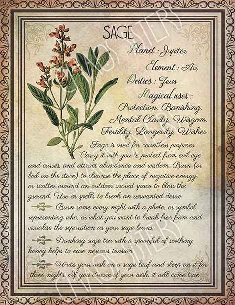 Printable Herbs Book Of Shadows Pages Set 2 Herbs And Plants Etsy