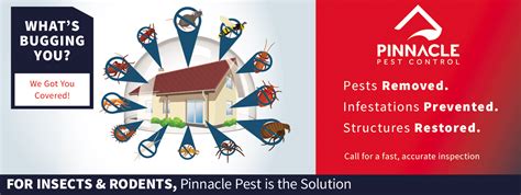 (a) structural pest control and pest control as used in this chapter are synonymous. Roseville Pest Control - Insect & Rodent Control ...
