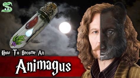 The Complete Animagus Process Explained Youtube