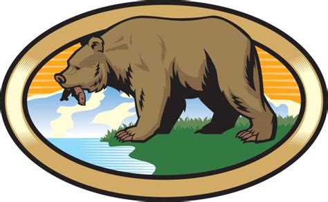 Best Grizzly Bear Illustrations Royalty Free Vector Graphics And Clip