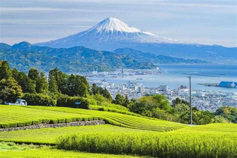Shizuoka Private Guided Tour Getyourguide