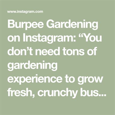 Burpee Gardening On Instagram You Dont Need Tons Of Gardening