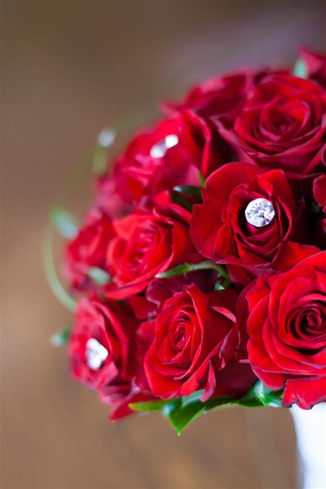 Fotos Gratis Flor Pétalo Rosa Rojo Rosado Boda Flores De Cerca