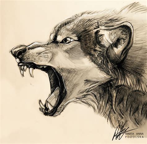 Wolf Snarl Art Print By Dreamgivers Art X Small Animal Sketches