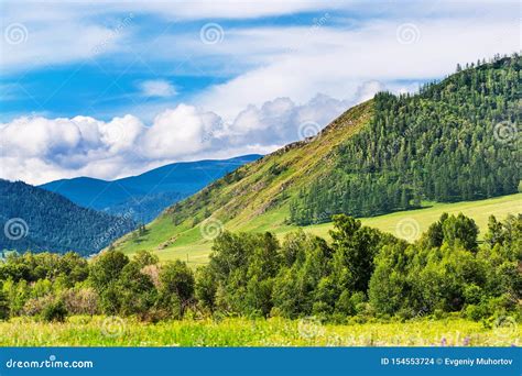 Altai Mountain Landscape With Taiga Altai Republic South Siberia