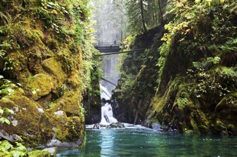 Official account for all things dc. Olympic National Park Photo Gallery | Fodor's Travel