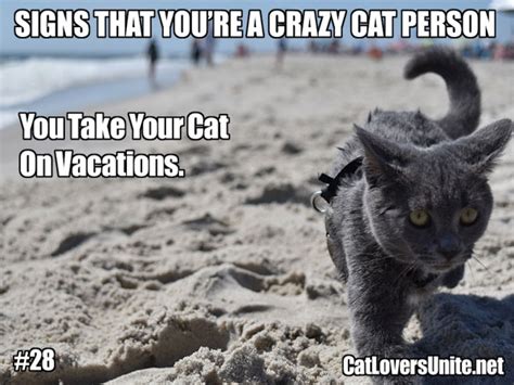 Crazy Cat Person 28