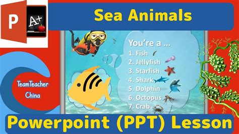 Sea Animals Tefl Powerpoint Lesson Plan Classroom Ppt Games Youtube