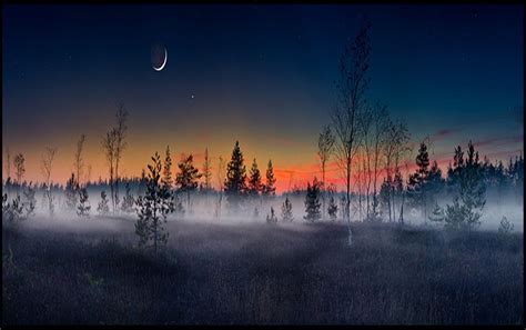Moon Tag Wallpapers Page Night Fog Forest Sunset Moon Nature