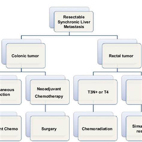 Flow Chart Of Possible Pathways Regarding Liver Resection In The