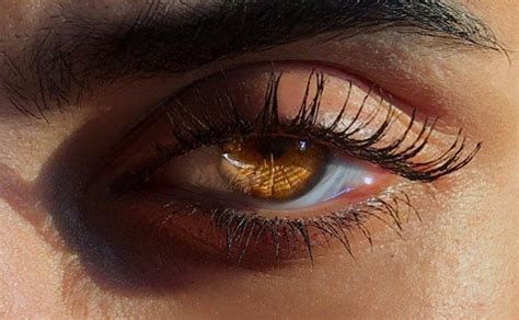 Pin By 𝚁𝚊نْ𝚍 حَ𝚊𝚛𝚒𝚝𝚑 On Eyes Brown Eyes Aesthetic Aesthetic Eyes