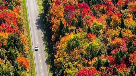 Aerial View Of Road Between Red Green Yellow Orange Autumn Leaves Trees