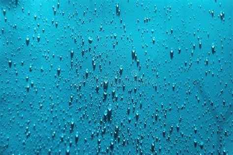 Water Drops Texture Drop Splash Water Pattern Selective Focus