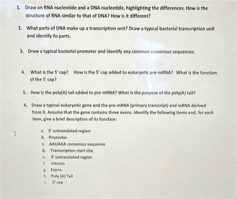 Solved 1 Draw An RNA Nucleotide And A DNA Nucleotide Chegg