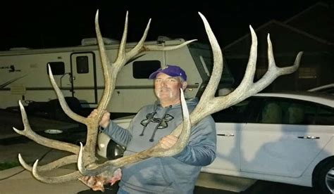 Update More Photos Released Of Potential World Record Archery Elk