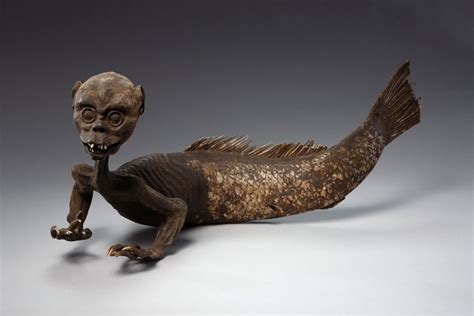 How A Fake Monster Crept Into Our Museums Mermaid Museum Merman