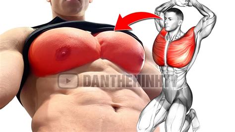 6 Best Chest Exercises You Should Be Doing Youtube