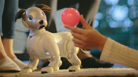 Sony Revives Aibo Robot Dog Toy Bbc News