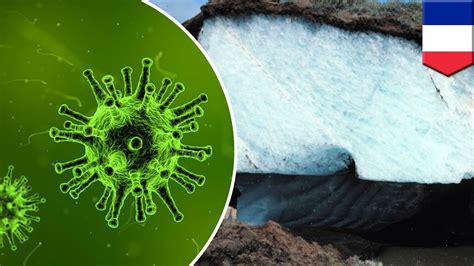 Permafrost Melting Ancient Viruses Could Be Released From Permafrost