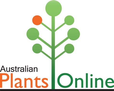 Australian Plants Online | Australian plants, Australian native garden, Plants online