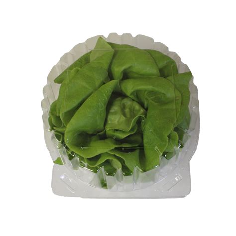 Lettuce Crisper Lettuce Storage Container Cropking