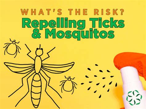 Whats The Risk Repelling Ticks And Mosquitos Center For Research On